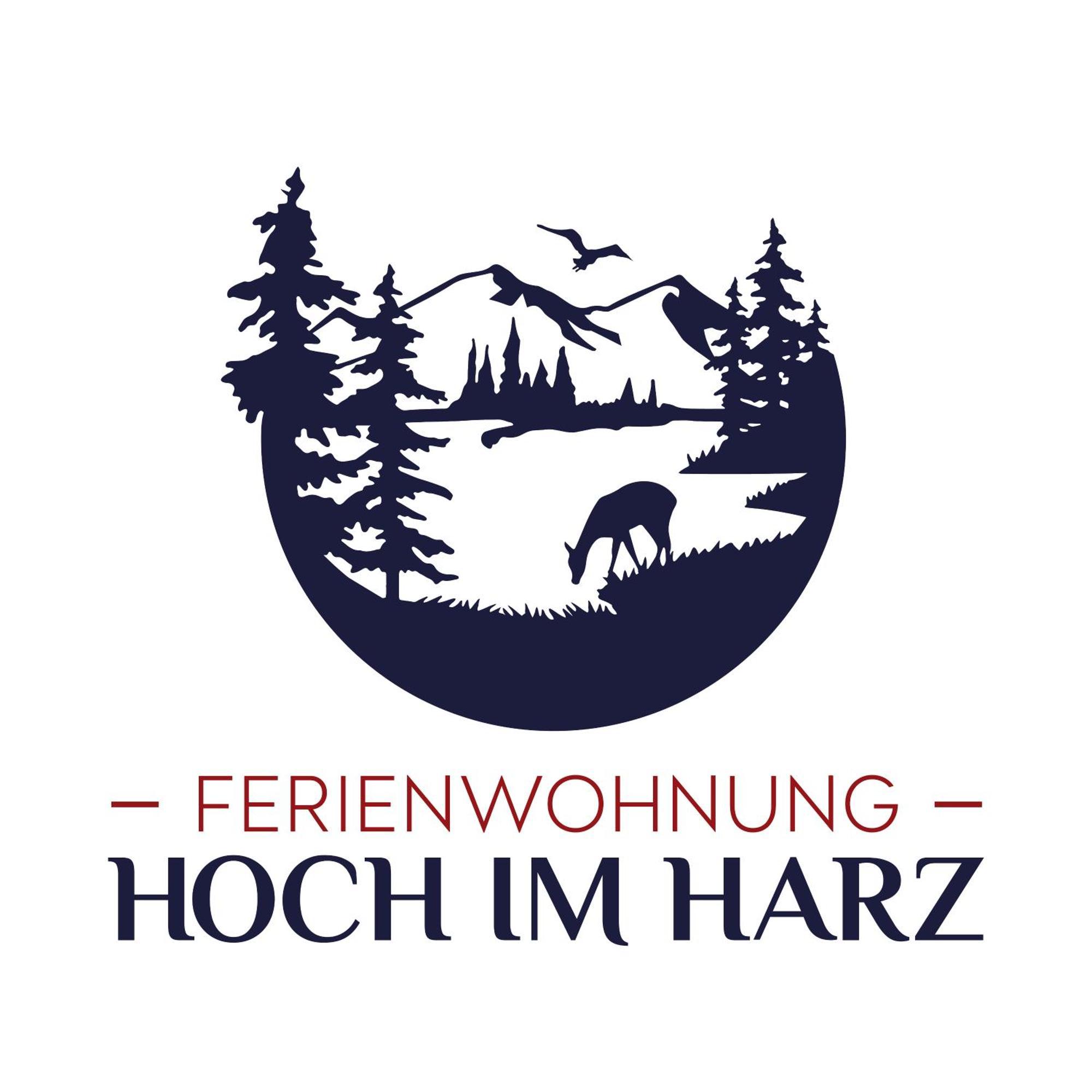 Ferienwohnung Hoch Im Harz, Altenau Altenau  Ngoại thất bức ảnh